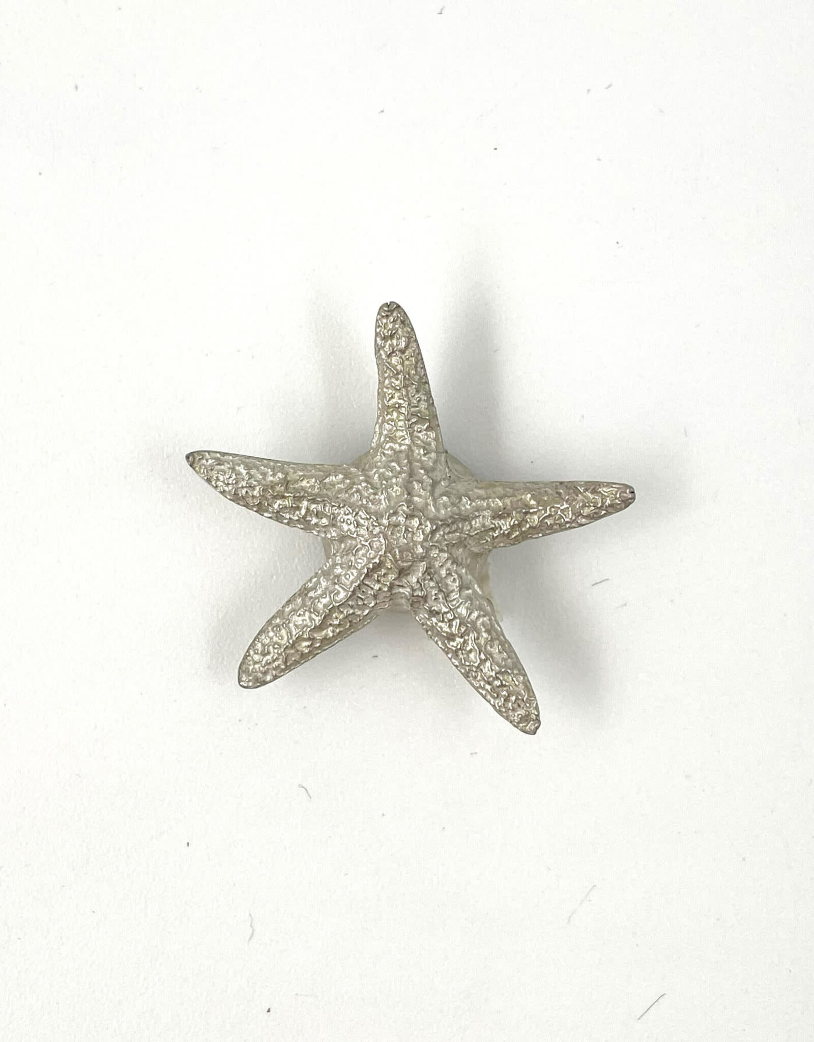 Handmade Pewter Magnet - Starfish