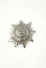 Handmade Pewter Magnet - Spiral Shell