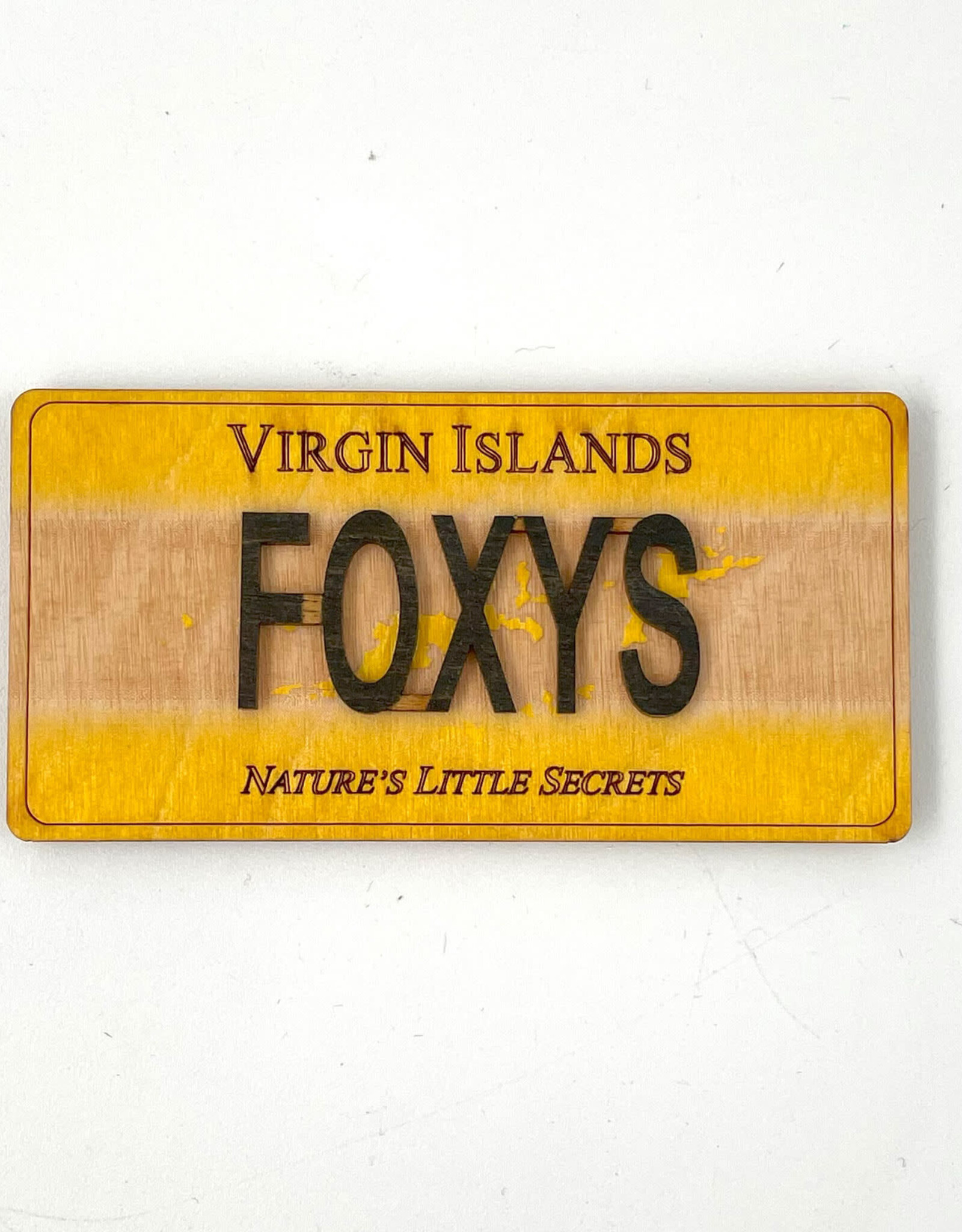 Magnet - License Plate - FOXYS