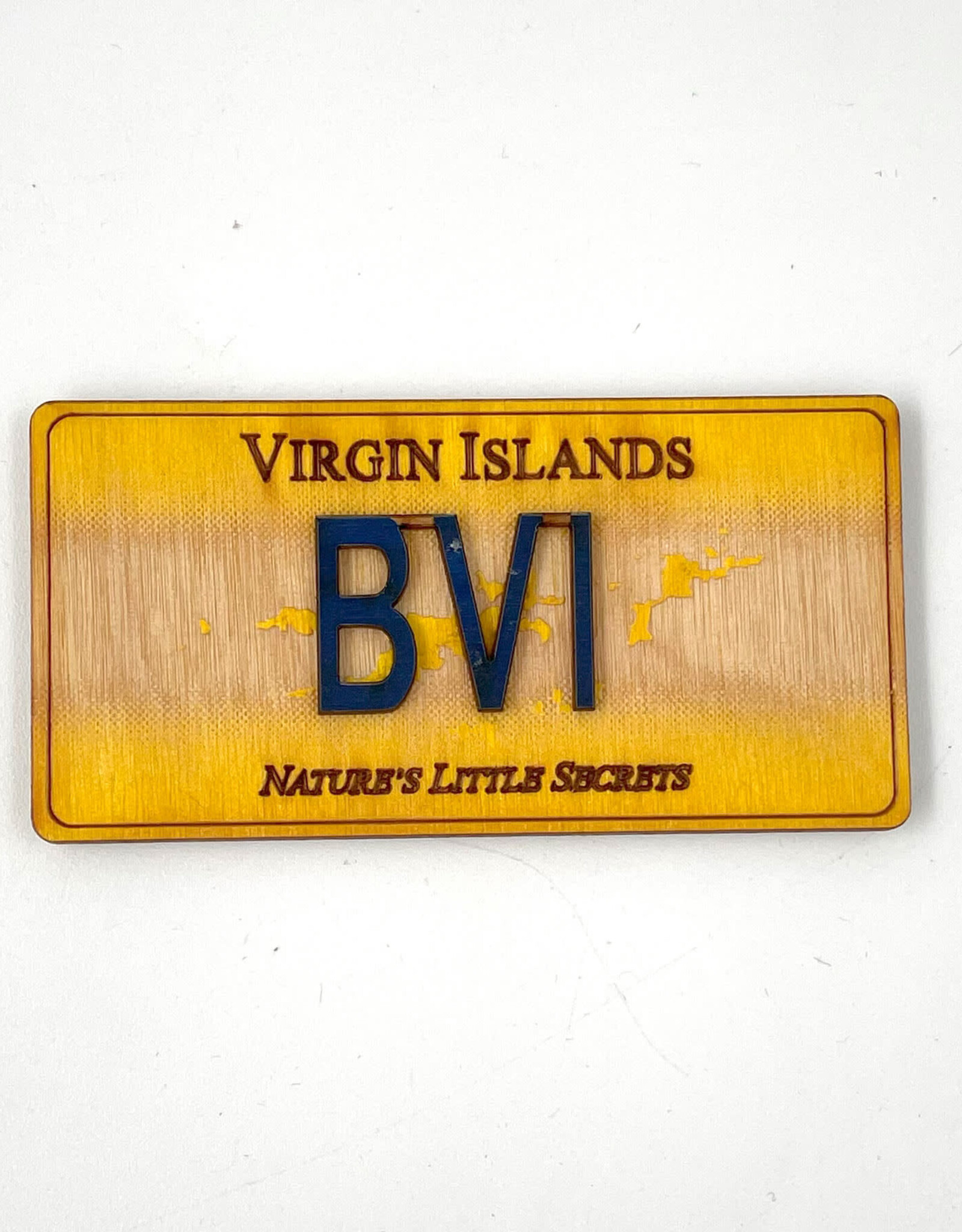 Magnet - License Plate - BVI