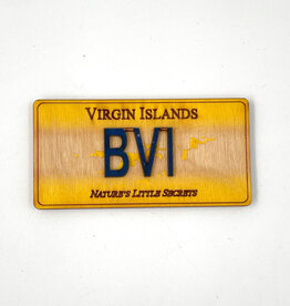 Magnet - License Plate - BVI