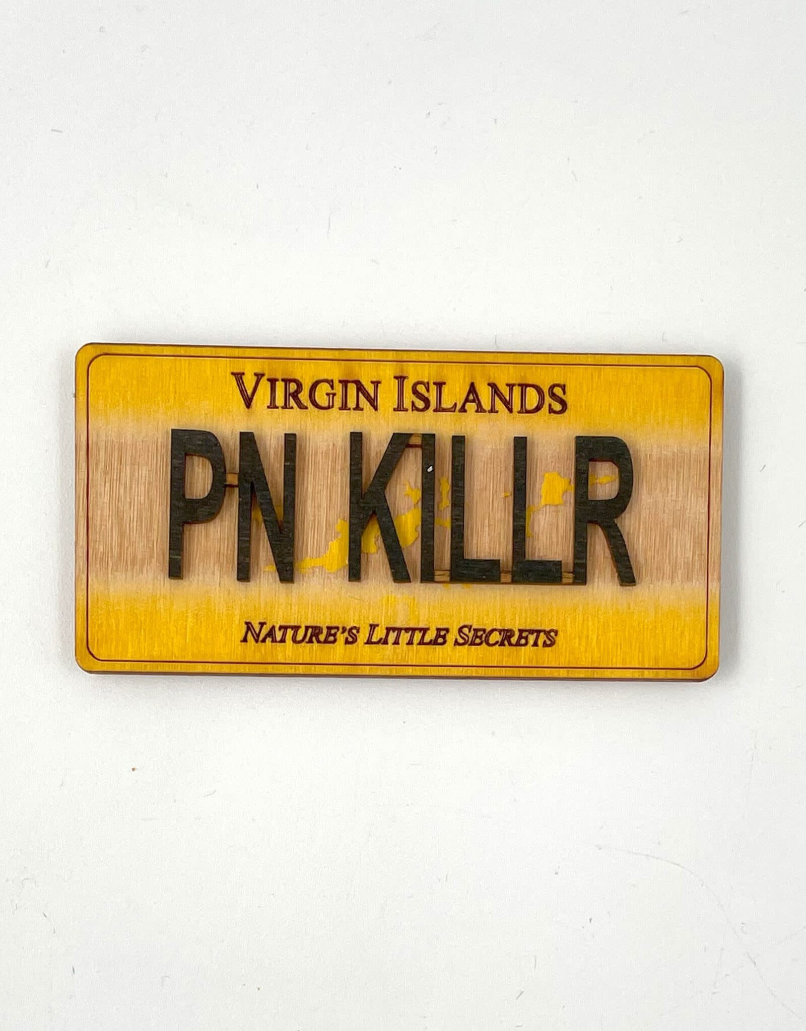 Magnet - License Plate - Pain Killer