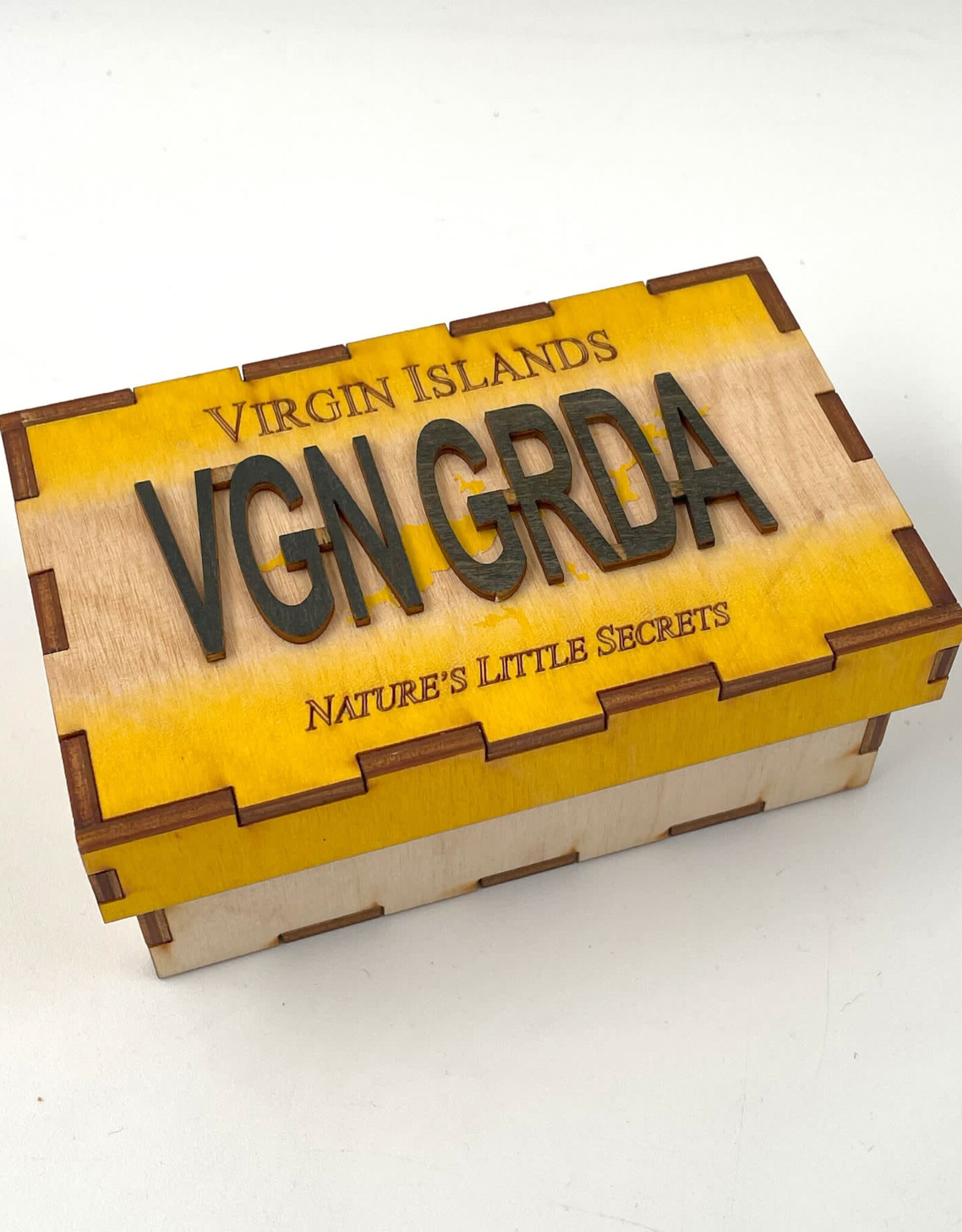 License Plate Box  - Virgin Gorda
