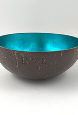 Blue Coconut Bowl