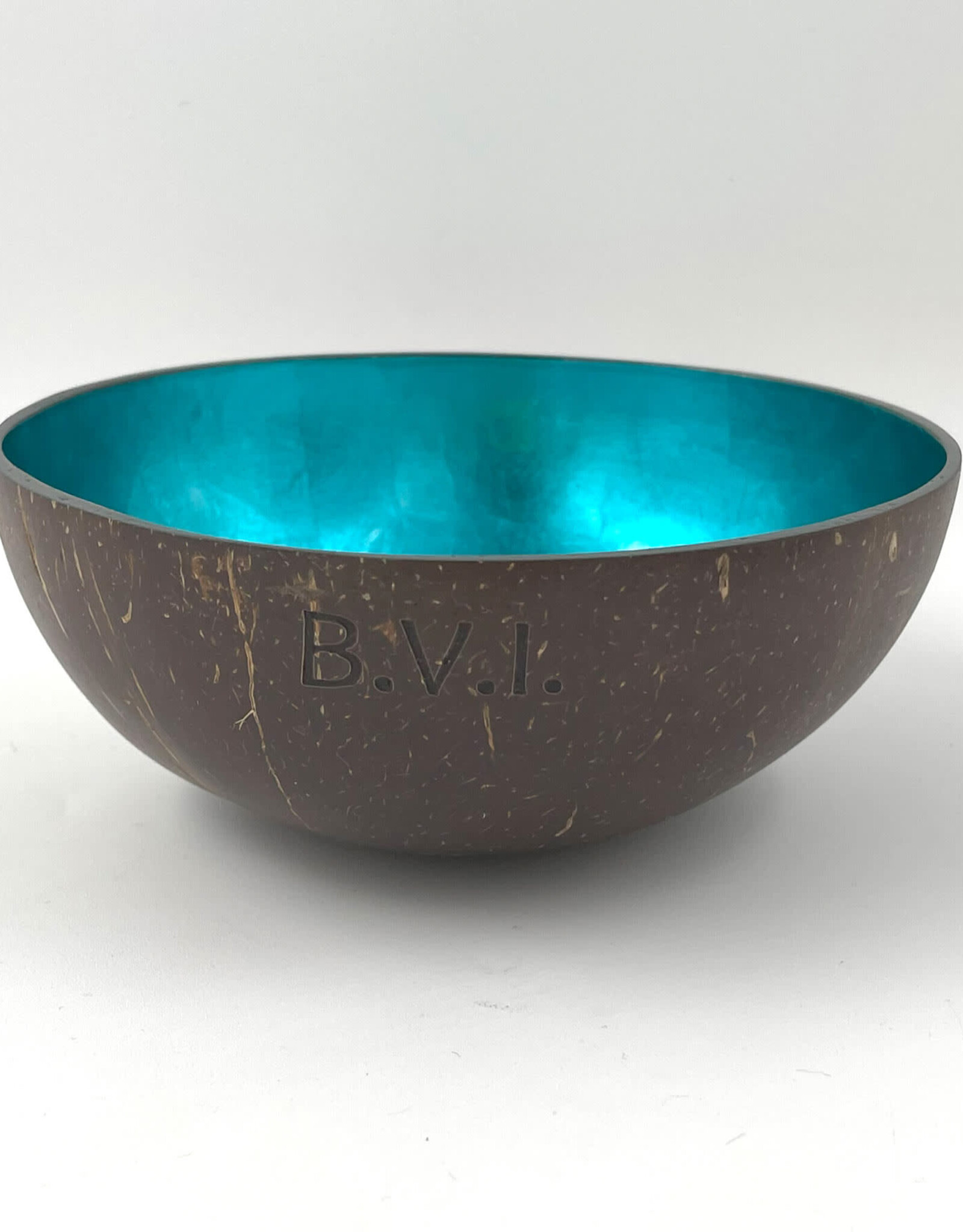 Blue Coconut Bowl