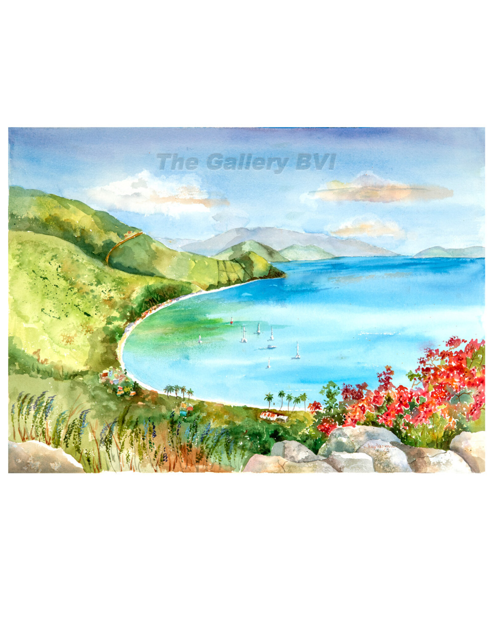Jinx Morgan "Cane Garden Bay" Limited Edition Giclee Print by BVI Artist  Jinx Morgan