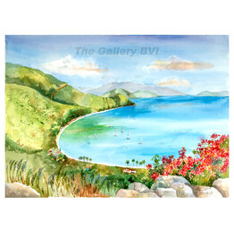 Jinx Morgan "Cane Garden Bay" Limited Edition Giclee Print by BVI Artist  Jinx Morgan