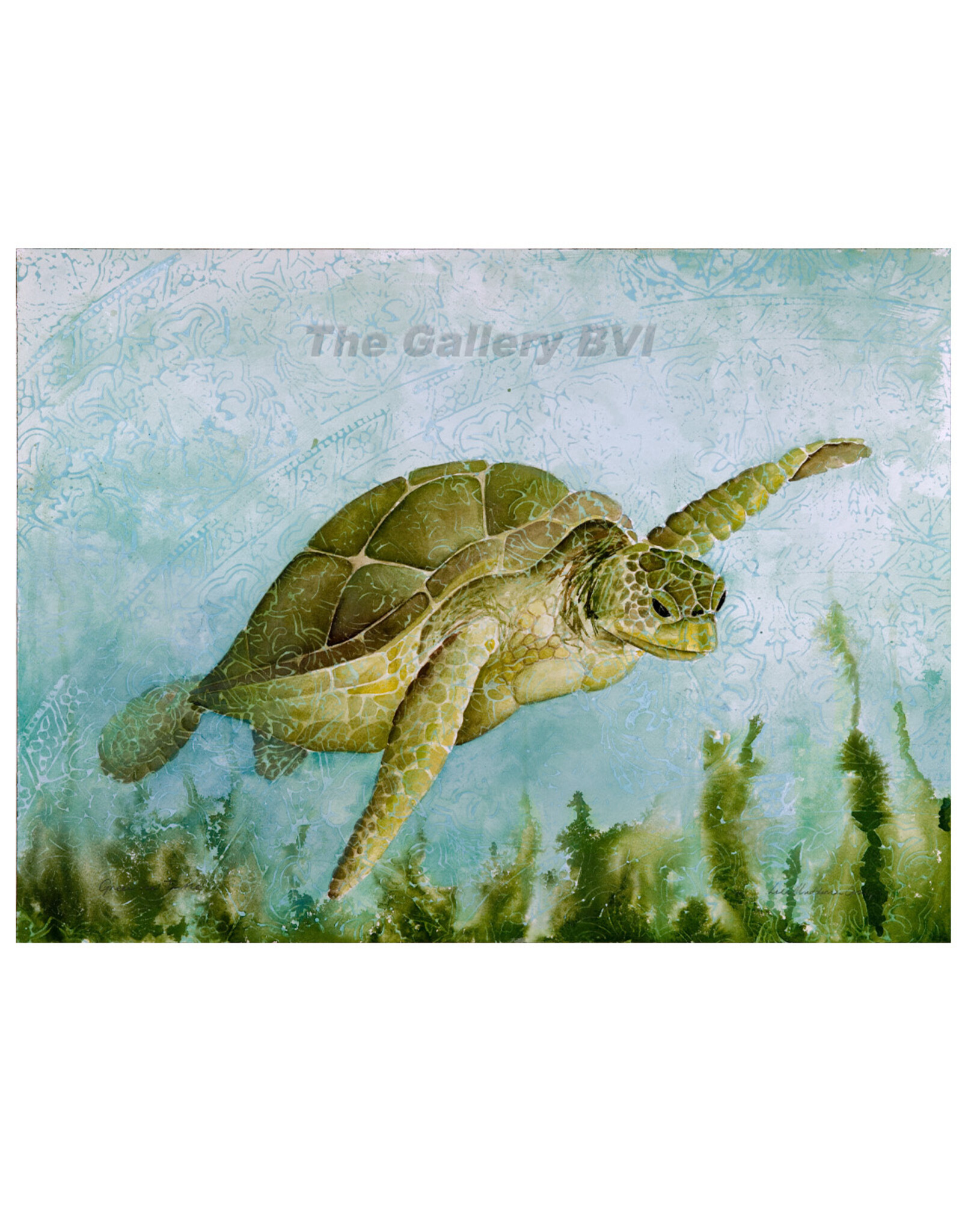 Lisa Muddiman Gray "Gliding Turtle" Limited Edition Giclee Print by BVI Artist Lisa Muddiman Gray Matted Small 10" x 8
