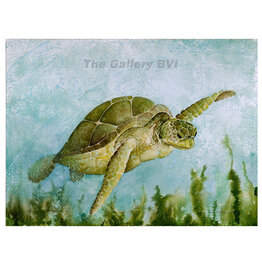 Lisa Muddiman Gray "Gliding Turtle" Limited Edition Giclee Print by BVI Artist Lisa Muddiman Gray Matted Small 10" x 8