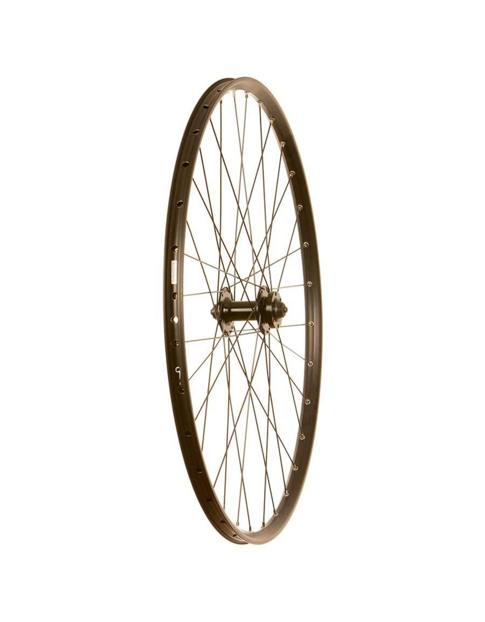 Wheel Alex MD21 / Formula DC-20 Front 29" 32h Sapim Leader 6-Bolt Disc QR 100 mm Black