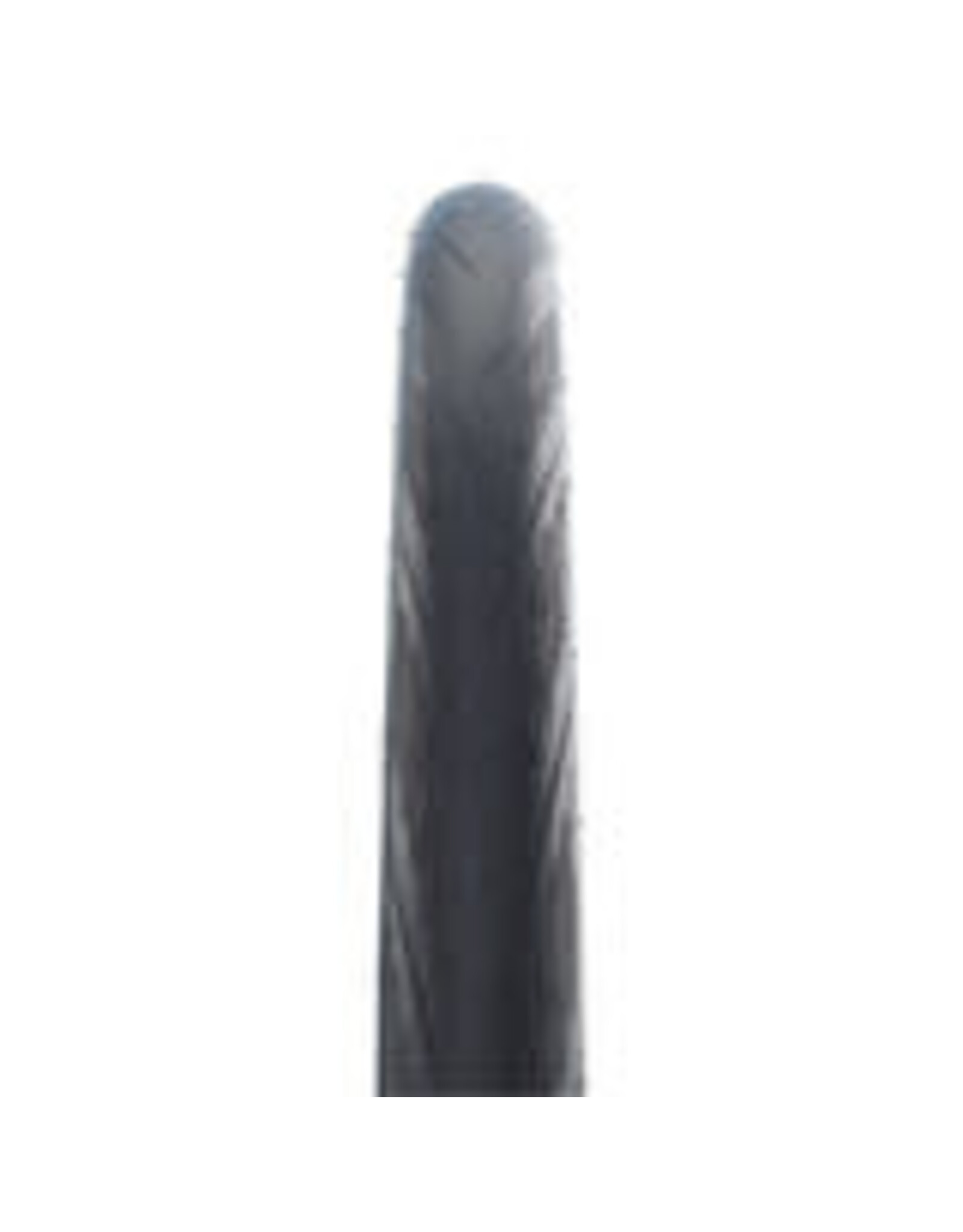 Schwalbe Tire Schwalbe Lugano II 700x25c Silica K-Guard Black