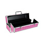 BMS FACTORY STORAGE CASE LOCKABLE STORAGE