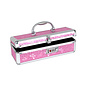 BMS FACTORY STORAGE CASE LOCKABLE STORAGE