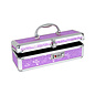 BMS FACTORY STORAGE CASE LOCKABLE STORAGE