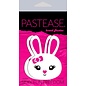 PASTEASE PASTEASE PASTIES VARIOUS