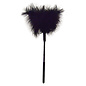 SPORTSHEETS FEATHER TICKLER SM VARIETY