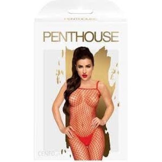 PENTHOUSE LINGERIE BODY SEARCH FISHNET BODYSTOCKING