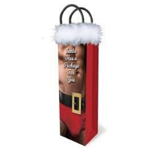 LITTLE GENIE SANTA HAS A BIG PACKAGE FOR YOU GIFT BAG