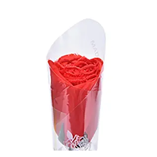 "O" HEAVENS "O" HEAVENS PANTY FLOWER LACE RED