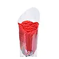"O" HEAVENS "O" HEAVENS FLOWER PANTY LACE RED