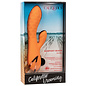 CALIFORNIA EXOTICS CALEX CALIFORNIA DREAMING NEWPORT BEACH BABE