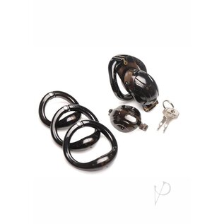 XR CHASTITY MASTER SERIES DOUBLE LOCKING CAGE BLACK