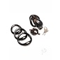 XR CHASTITY MASTER SERIES DOUBLE LOCKING CAGE BLACK