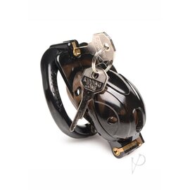 XR CHASTITY MASTER SERIES DOUBLE LOCKING CAGE BLACK