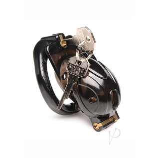 XR CHASTITY MASTER SERIES DOUBLE LOCKING CAGE BLACK