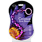 CLOUD 9 NOVELTIES CLOUD 9 CELOSIA ANAL BEADS PURPLE