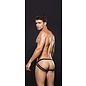 ENVY MODERN FISHNET OPEN BACK BRIEF