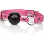 CALIFORNIA EXOTICS TICKLE ME PINK BREATHABLE BALL