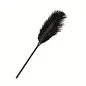 "O" HEAVENS FEATHER TICKLER BLACK
