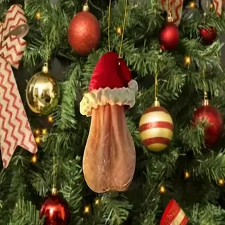 "OH" CHRISTMAS HAT ORNAMENT
