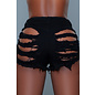 BE WICKED BEWICKED CURVES FOR DAYS BOOTY SHORTS