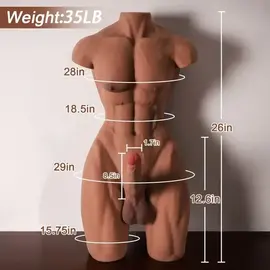 "OH" TORSO MALE DOLL 36#  8" TAN 36 LBS