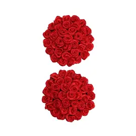 APPEELING PASTIES RED ROSES