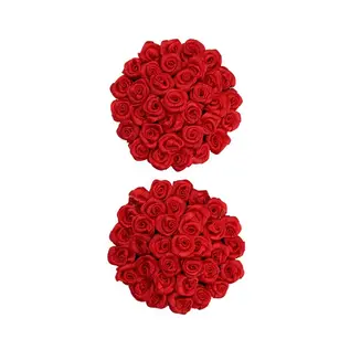 APPEELING APPEELING PASTIES RED ROSES