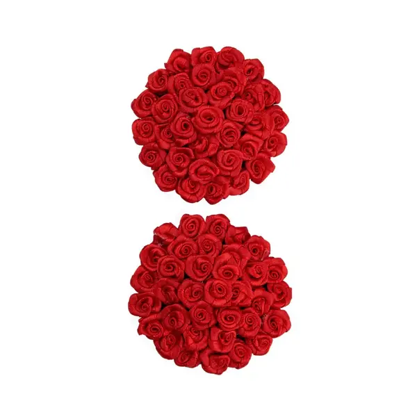 APPEELING PASTIES RED ROSES