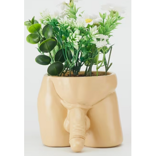 "O" HEAVENS TORSO PLANTER PENIS