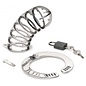 MASTER SERIES STAINLESS STEEL SPIKED CHASTITY CAGE WITH LOCK