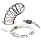 XR BRAND STAINLESS STEEL SPIKED CHASTITY CAGE WITH LOCK