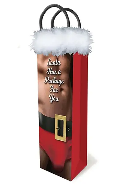 LITTLE GENIE GIFT BAG BIG PACKAGE FOR YOU