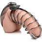 MASTER SERIES STAINLESS STEEL SPIKED CHASTITY CAGE WITH LOCK