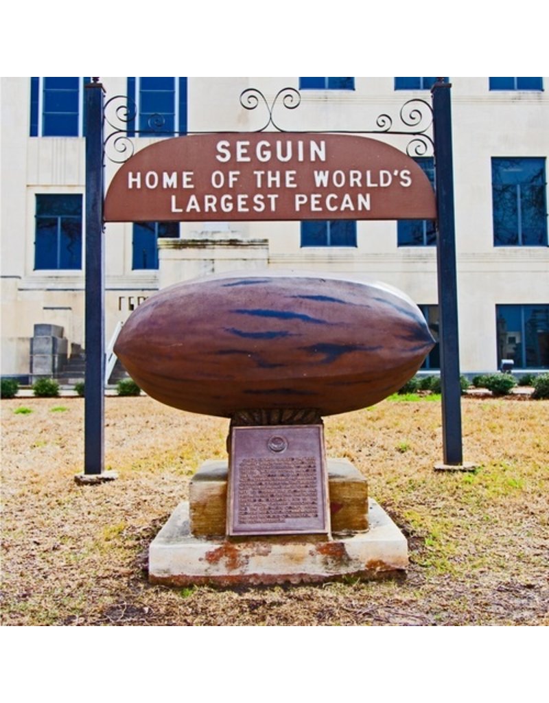 South Austin Gallery Largest Pecan Coaster