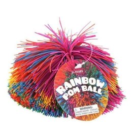 Toysmith Rainbow Pom Ball