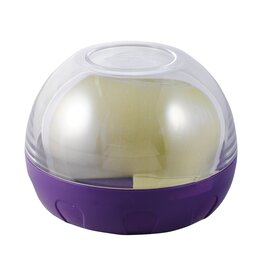 Progressive Onion Keeper