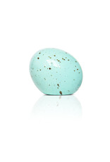 Nora Fleming Eggstra-ordinary Mini