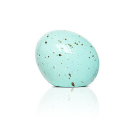 Nora Fleming Eggstra-ordinary Mini