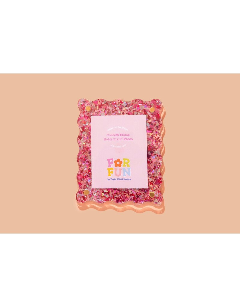 Taylor Elliott Designs For Fun Magnetic Frame